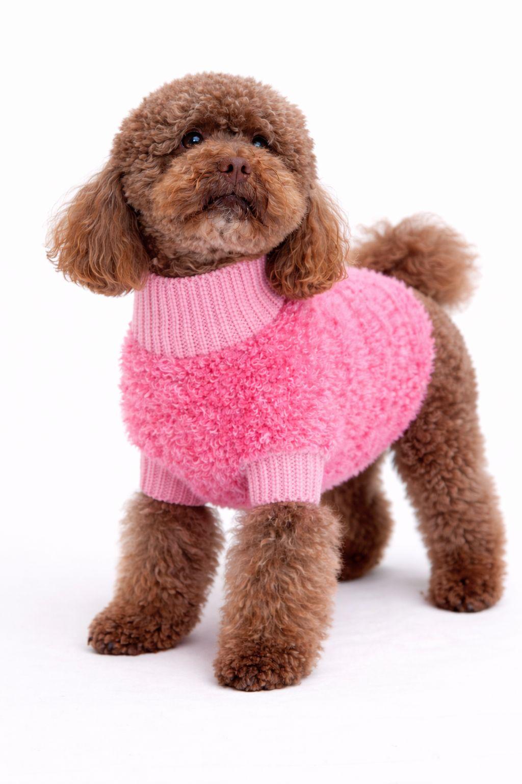 Rosé Paw Knit