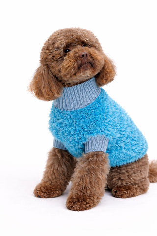 Blue Paw Knit
