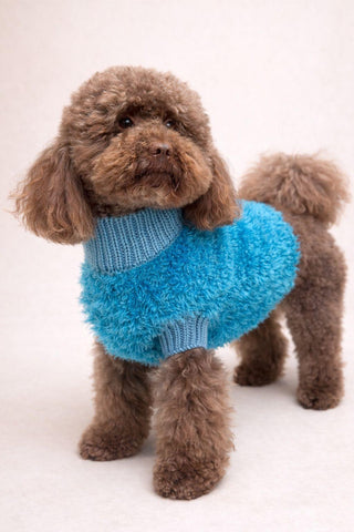 Blue Paw Knit