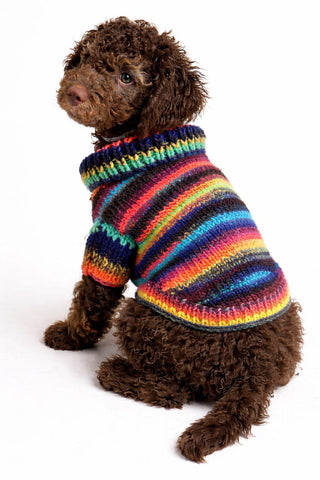 Rainbow Paw Knit